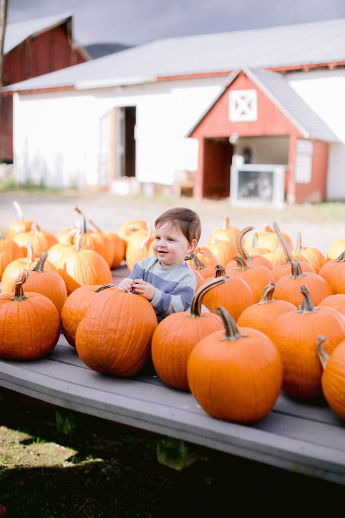 Toddler boy sitting in a pile of pumpkins at a pumpkin patch