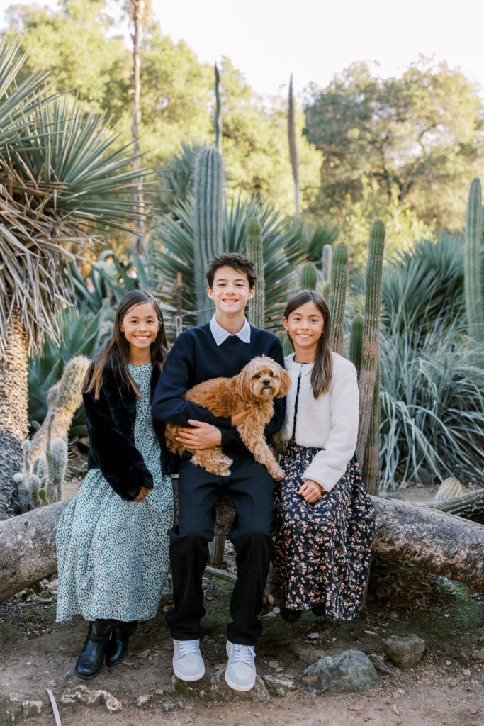 3 siblings and the family doodle dog sitting on a tree in the Arizona Cactus Garden at their Bay Area Mini Sessions